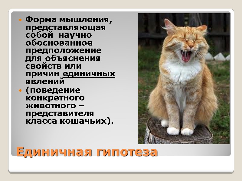 Единичная гипотеза Форма мышления, представляющая собой  научно обоснованное предположение для объяснения свойств или